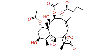 Briarenolide T